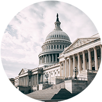 Government institutions